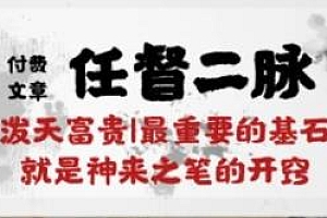 任督 二脉 泼天富贵|最重要的基石 就是神来之笔的开窍|万字,某付费文章