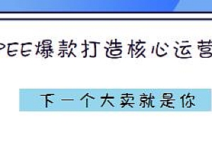 Shopee爆款打造核心方法,下一个大卖就是你