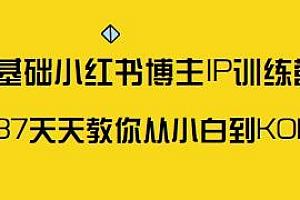 0基础小红书博主IP训练营,教你从小白到KOL