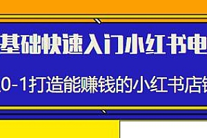 零基础快速入门小红书电商,打造能赚钱的小红书店铺