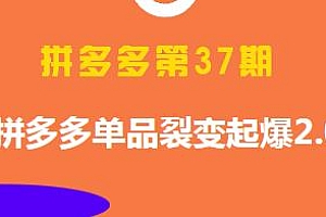 拼多多单品裂变起爆2.0,37期培训课