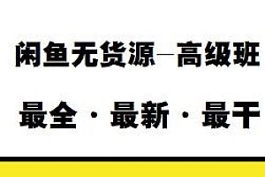 闲鱼无货源-高级班,紧贴热点 深度学习