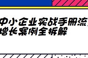 中小企业实战手册流量增长案例全拆解