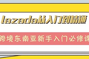 lazada从入门到精通,跨境东南亚入门必修