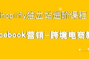 跨境电商 Shopify独立站进阶课程