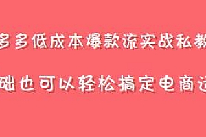 拼多多低成本爆款流实战私教课,轻松搞定电商运营