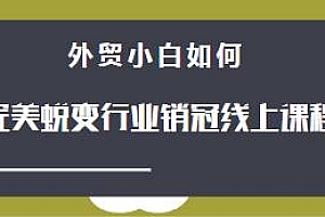 外贸小白如何完美蜕变行业销冠线上课程,7项外贸技能,5大社媒开发,8种客户背调