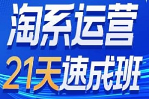 淘系运营24天速成班第28期,万相台无界带免费流量