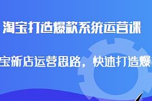 淘宝打造爆款系统运营课,新店运营思路