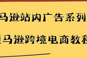 亚马逊电商站内广告系列课