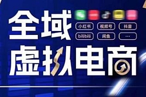 全域虚拟电商4.0,颠覆式的创新玩法交付,实战为主