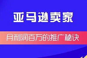 亚马逊电商卖家月利润百万的推广秘诀