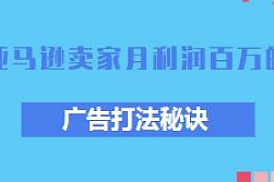 亚马逊卖家月利润百万的广告打法秘诀