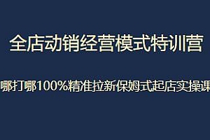全店动销经营模式特训营,保姆式起店实操课程