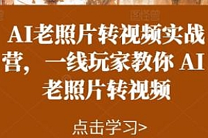 AI老照片转视频实战营,快速涨粉接单变现