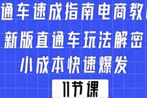 直通车速成指南电商教程,新版直通车玩法揭秘