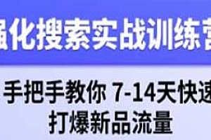 淘宝强化搜索实战训练营,教你7-14天快速打爆新品流量