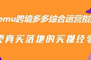 Temu跨境多多综合运营指南实操教程