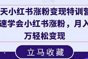 小红书涨粉变现特训营,月入十万轻松变现