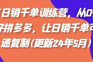 拼多多日销千单训练营,从0开始做好拼多多