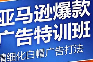 亚马逊爆款广告特训班,优化广告数据提升旺季销量