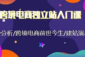 跨境电商独立站入门课精华课程