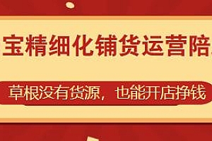 淘宝精细化铺货运营陪跑教程,没有货源也能开店挣钱