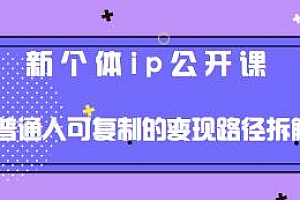 新个体ip公开课,普通人可复制的变现路径拆解