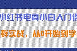 小红书电商小白入门课,从0开始店群实战