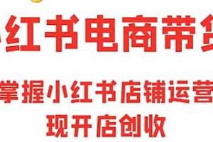 小红书电商带货,快速掌握小红书店铺运营