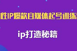 女性IP爆款自媒体起号训练营,ip打造秘籍