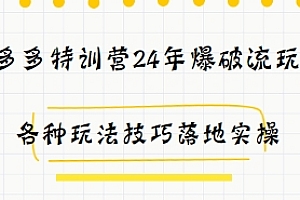 拼多多特训营24年爆破流玩法,各种玩法技巧落地实操