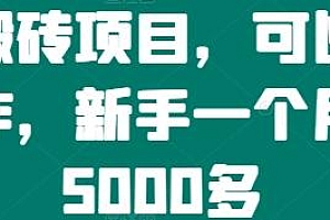 手机搬砖项目揭秘,矩阵化操作一个月5000多