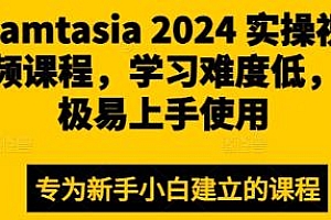 Camtasia 2024 实操视频课程,简单易上手