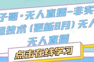 宝子哥·无人直播-非实时防风技术 更新25年8月