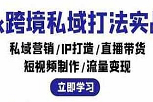tiktok跨境私域打法实战教程