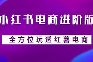 小红书电商进阶版,全方位玩透红薯电商