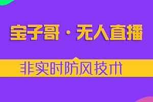 宝子哥·无人直播-非实时防风技术 更新25年5月