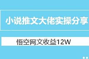 小说推文大佬实操分享,悟空网文收益12W+