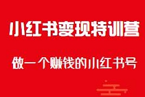 小红书变现特训营,做一个赚钱的小红书号