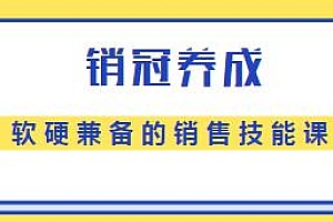 销冠养成-软硬兼备的销售技能课