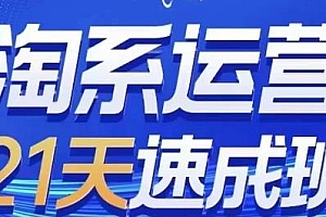 淘系运营21天速成班系列课,更新24年10月