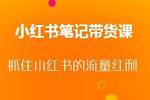 小红书笔记带货课(更新25年6月),抓住小红书的流量红利