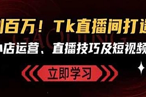 Tk跨境电商教程,从0-1打造百万TikTok直播间短视频