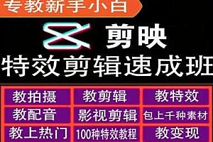 剪映特效教程和运营变现教程,专教新手小白