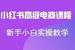 小红书高级电商课程,小白实操课