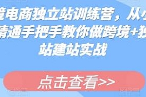 跨境电商独立站训练营,手把手教你建站实战