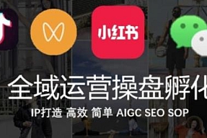 全域运营操盘孵化(抖音+私域+小红书)