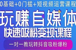 玩赚自媒体快速吸粉变现课程,0基础+0门槛+短视频运营课程