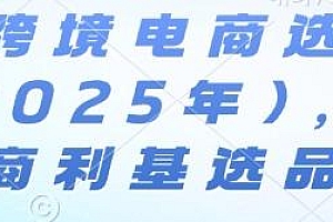亚马逊跨境电商选品案例(更新2025年10月)